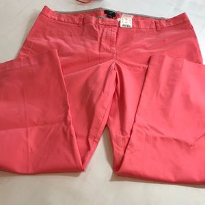 J Crew women’s city fit pants size 14 NWT
